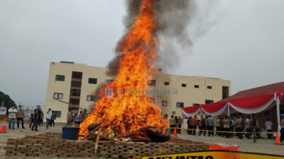 Musnahkan Narkotika 73 Kg sabu, 111 Kg Ganja dan 4.050 Butir Pil Ekstasi