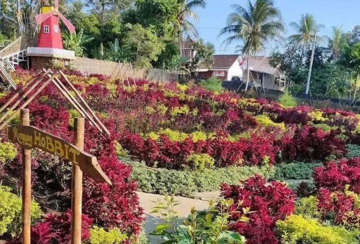 Umbul Helau Lampung, Foto: IG @umbul.helau.lampung