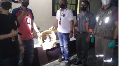 Selundupkan Burung Beo dan Elang, Dua Tersangka Diamankan