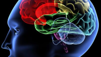 Ini Ciri-ciri Orang Jenius, Salah satunya Sering Begadang