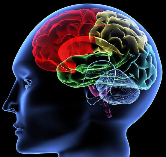 Ciri-ciri seseorang memiliki IQ Tinggi. Foto internet for referensirakyat.co.id