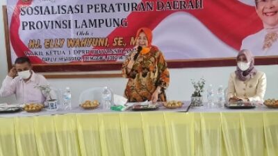 Elly Wahyuni Nilai Ketahanan Keluarga Jadi Tugas Bersama