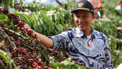 Pemprov Lampung Tingkatkan Produksi Kopi dan Lada