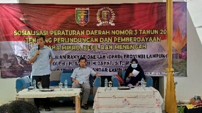 DPRD Lampung Berikan Perlindungan Pelaku UMKM