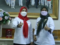 Wagub Chusnunia Menerima Audiensi Walikota Bandar Lampung