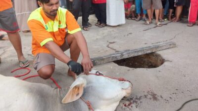 Musholla Itishomah Potong Hewan Kurban