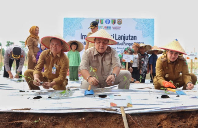 Gubernur Arinal Melakukan Gerakan Tanam Cabai di Kabupaten Pesawaran