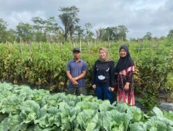 Miris! Petani Tomat Panen Kesedihan, Lesty Ajak Diskusi