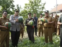 Bupati Lampung Selatan Bersama Forkompimda Tanam Bawang Sekaligus Panen Semangka di Kebun Edukasi