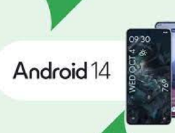 Android 14 Rilis Besar Tahun 2023
