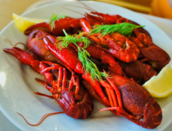Pecinta Lobser Harus Hati-Hati Terhadap Risiko Konsumsi Lobster Berlebihan