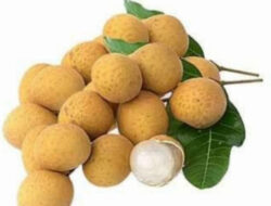 Intip Manfaat Buah Kelengkeng yuk