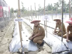 Konkretkan Program Ketahanan Pangan, Bupati Nanang Ermanto Tanam Pohon Melon di Candipuro