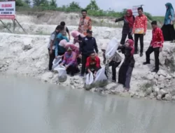Ketua TP PKK Lampung Selatan Tinjau Persiapan Verifikasi Lapangan Usulan Penghargaan SWK Tahun 2024