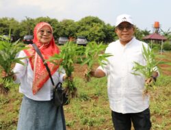 Pj. Gubernur Samsudin Ajak Masyarakat Ramaikan Wisata Edukasi Kebun PKK Agropark Sabah Balau Lampung Selatan