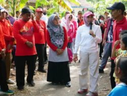 Pemkab Lamsel Berencana Bangun Jalan Usaha Tani di Desa Bangun Rejo Ketapang