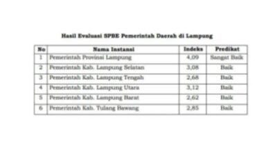 Indeks SPBE Kabupaten Lampung Selatan Raih Predikat Baik
