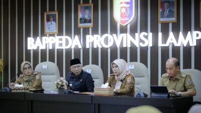 Gubernur Mirza Lakukan Sinkronisasi RPJMD Provinsi Lampung dengan RPJMN
