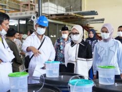 Gubernur Lampung Cukupi Kebutuhan Pupuk untuk 190.851 Petani Lampung