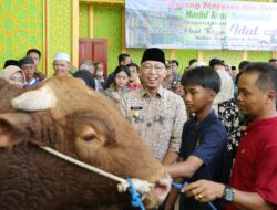 Gubernur Mirza Serahkan Sapi Kurban dari Presiden Prabowo Subianto