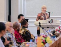 Wagub Jihan Apresiasi Kolaborasi Strategis Pemprov Lampung Bersama BULD DPD RI