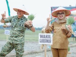 Dukung Swasembada Pangan Nasional, Lampung Ikut Tanam Padi Serentak 2026