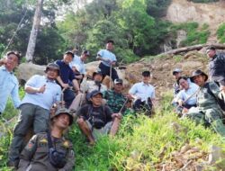 Longsor Gunung Rajabasa: Bupati Egi Naik 3 Km, Tanam Pohon Cegah Bencana Susulan
