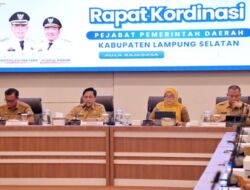 Pemkab Lampung Selatan Dorong Partisipasi Desa melalui Program Helau
