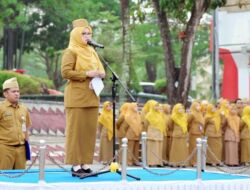 Potensi PAD Lampung Selatan Terus Dioptimalkan