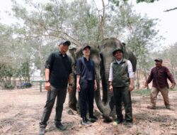 Gubernur Mirza Dampingi Menhut Tinjau Pembangunan Fasilitas Konservasi dan Mitigasi Konflik Manusia-Gajah di TNWK