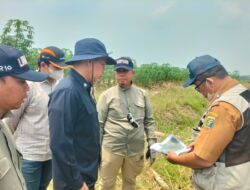 Pemprov Matangkan PSEL Lampung Raya